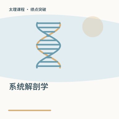 系统解剖学·绩点突破配图
